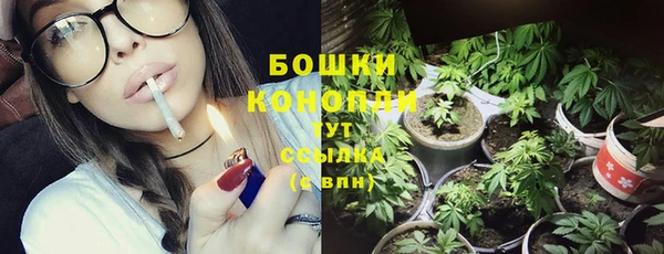 бошки Волоколамск