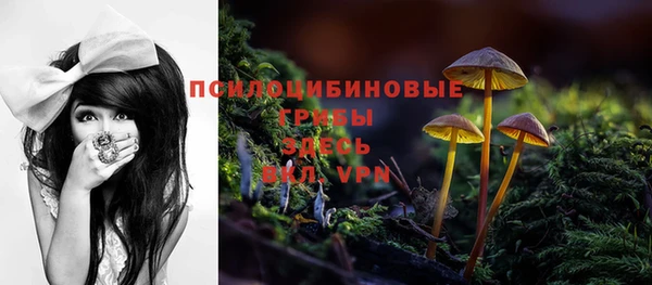 бошки Волоколамск