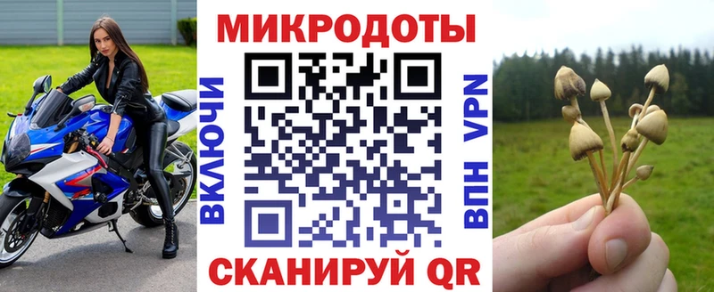 Галлюциногенные грибы Magic Shrooms  Ярославль 